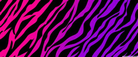 2024 Hot Pink Hd 4k Wallpaper Desktop Background Iphone