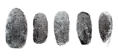 Why Is It Necessary To Submit Your Fingerprints To A Reliable