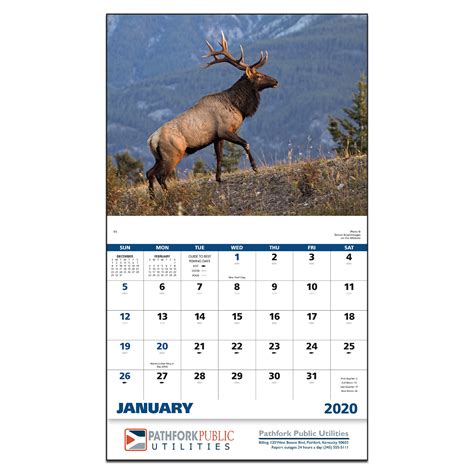 Wildlife Portraits Wall Calendar Mines Press