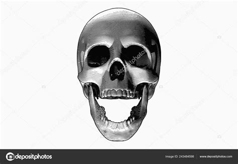 Skull Open Mouth Drawing Lalocositas