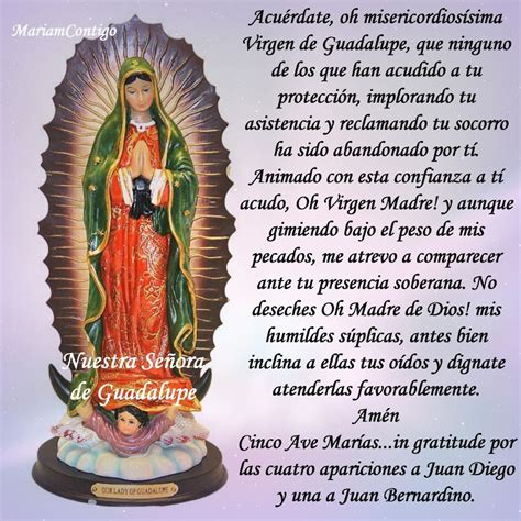 La Poderosa Oración A La Virgen De Guadalupe Que Transformará Tu Vida