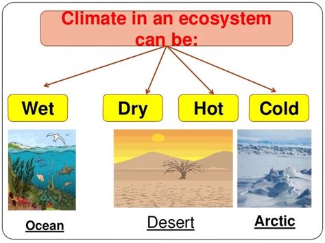 How Do Ecosystems Compare