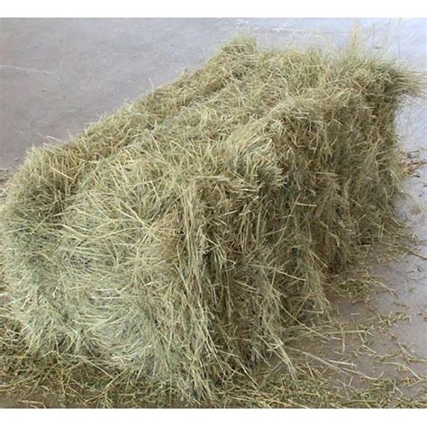 Grass Alfalfa Mix Hay Bale Western Ranch Supply