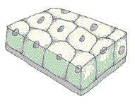 Check spelling or type a new query. Jaringan Epitel ~ studyscience( •̃͡-̮•)