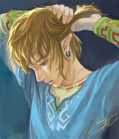 The New Link And His Long Hair The Legend Of Zelda Legend Of Zelda