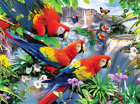 Worldimage4u Colorful And Different Types Of Birds For Bird Lovers