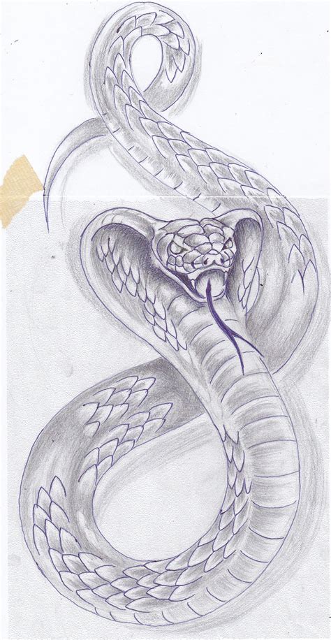 Pin By Tonya Olson On Cool Art Snake Drawing Cobra Tattoo Snake Sketch