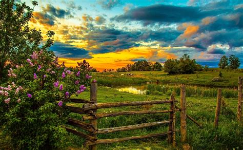 Spring Farm At Sunset Wallpaper And Background Image 1873x1156
