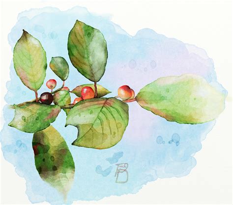 Watercolour Watercolor Paintings Artrage Flower Art Coffee Flowers