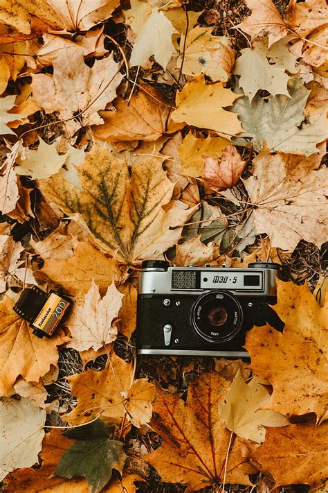 Hd Wallpaper Camera Autumn Foliage Retro Vintage Photographic