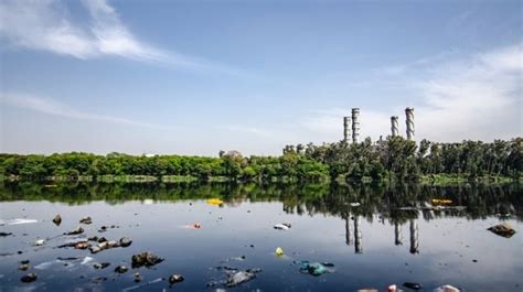 Pencemaran Air Di Indonesia Dampak Dan Cara Mengatasinya Kicaumania Net