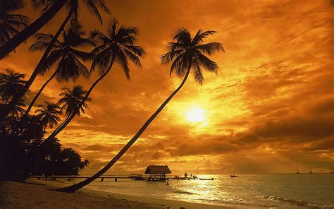 Costa Rica Sunset Red Sky Sandy Beach Palm Hd Desktop Wallpaper