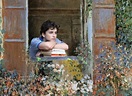 ‘Call Me By Your Monet’: el filme de Luca Guadagnino escenificado en ...