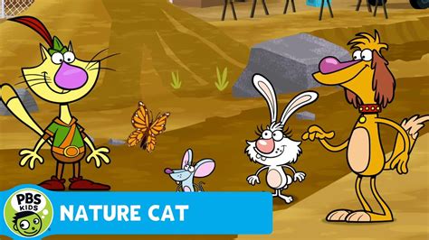 Nature Cat Squeeks Butterfly Friend Pbs Kids Youtube