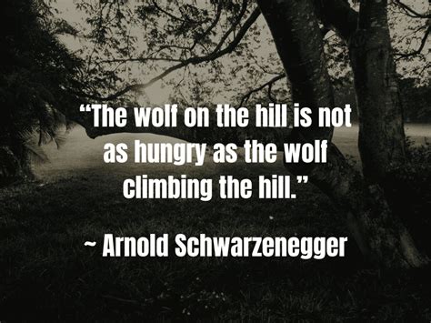 85 Lone Wolf Quotes To Guide Your Solitary Journey