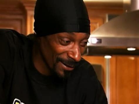 Snoop Doggs Father Hood The Doggs And The Bees Tv Episode 2007 Imdb