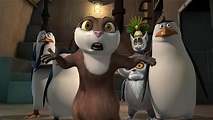 Ver Los pingüinos de Madagascar - 1x12 Online