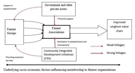 A Conceptual Framework For The Study On Farmer Involvement In