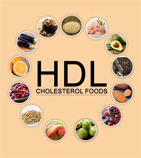 Foods That Raise Hdl