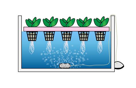 introduction-to-hydroponic-system-types-leaf-lift-systems