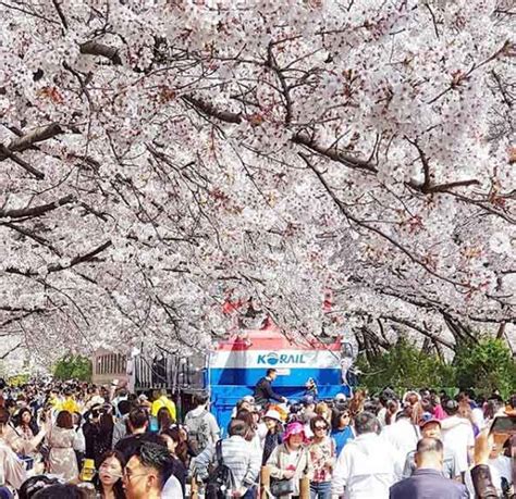 Kaji dahulu musim apa di korea pada tarikh lawatan anda. Tempat Menarik di Korea Yang Terkini 2019 Paling Cantik