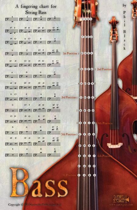 Sheet Music A Fingering Chart For Bass Double Bass