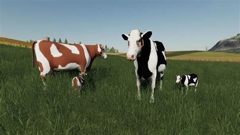 I will be showing you everything you need to know about raising your cattle here in farming simulator 2017. Placeable Cow Family v 1.0 FS19 - Farming simulator 17 / 2017 mod