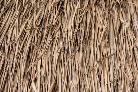 Hut Made Of Nipa Palm Leaves Stock Photo Image Of Ocean Relax 50606128