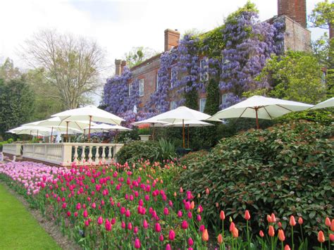Pashley Manor Gardens Tulips Wisteria And New