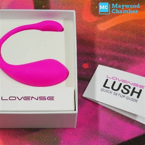 Lovense Lush Review Should You Rush To Try This Toy