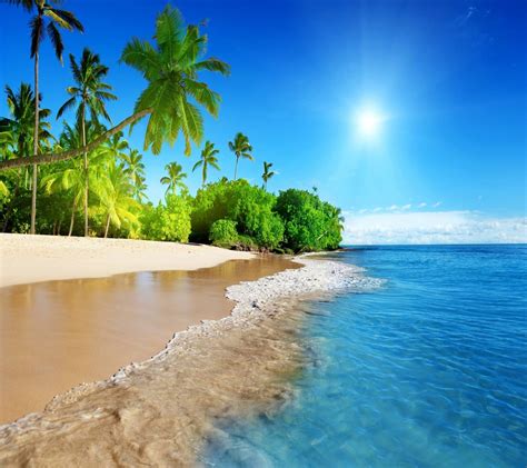 Tropical Paradise Wallpapers Wallpaper Cave