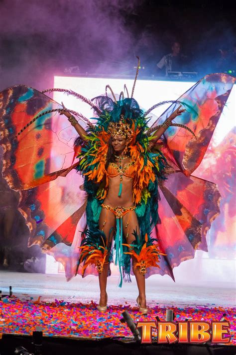Tribe Butterflies 2013 Trinidad Carnival Teamtrini I4tandt