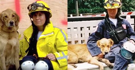 Remembering The Very Last 911 Hero Rescue Dog