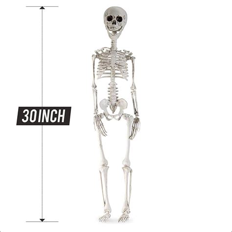 Prextex 76cm Halloween Skeleton Full Body Halloween Skeleton With