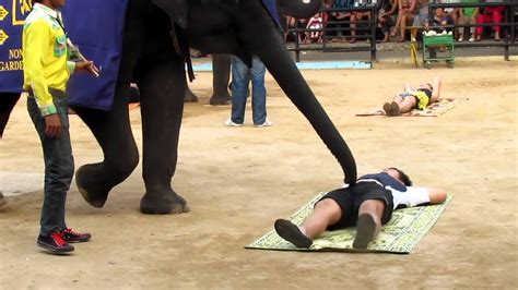 Massage By Elephants Youtube