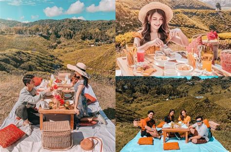 This Instagrammable Picnic Spot In Cameron Highlands Is What Dreams Are Made Of Rojakdaily