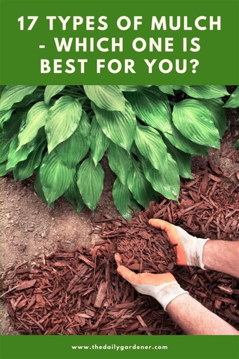 17 Types Of Mulch Which One Is Best For You