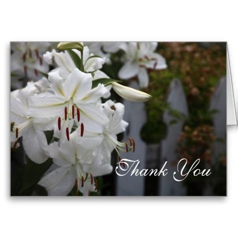 Thank You Cards Full Body Scanner Thank You Note Cards White Lilies