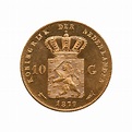Netherlands 10 Guilder Gold Coin | Golden Eagle Coins