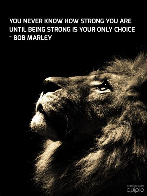 It takes a strong heart to love but it takes a stronger heart to continue to love after it's been hurt. Strong Lion Quotes. QuotesGram
