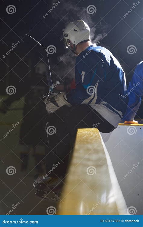 Ice Hockey Players On Bench Stock Photo Image Of Athlete Color 60157886