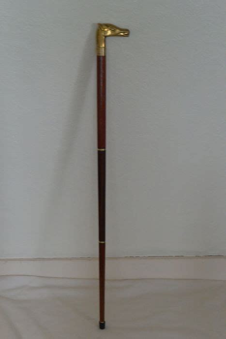 Cane With A Copper Horse Head Handle Catawiki