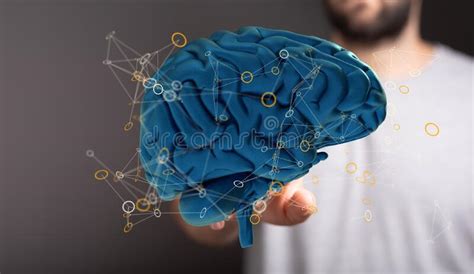 Human Brain In Hands As A Mind Power And Energy Concept Stock Image