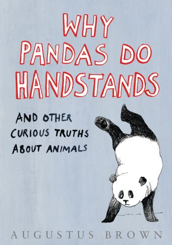 Why Pandas Do Handstands