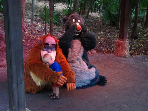 Meeting King Louie And Baloo Along The Path From Africa To Flickr