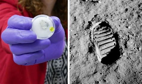 Nasa News Moon Rock Samples Untouched For 50 Years Finally See Light