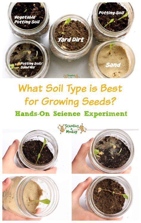 20 Plant Science Experiments Ideas Plant Science Science