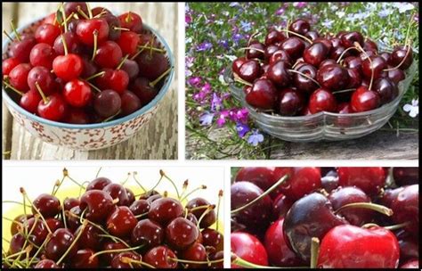 Benefits Of Cherries What Are The Health Benefits Of Cherries
