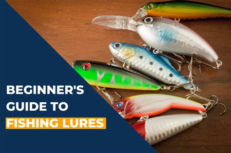 Beginner S Guide To Fishing Lures