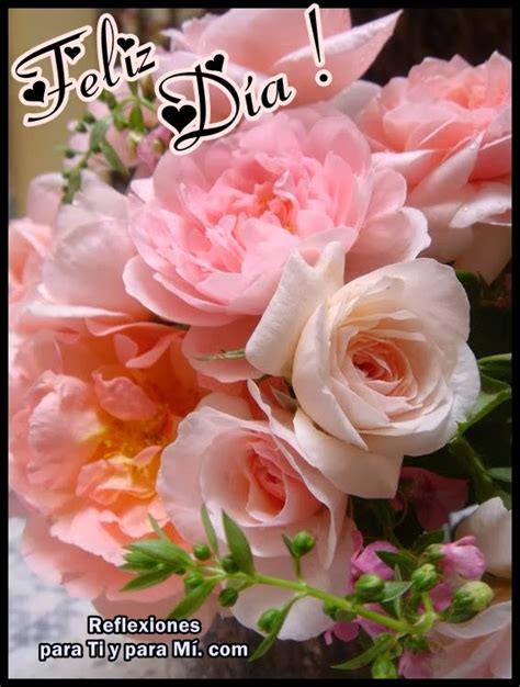 Buenos Deseos Para Ti Y Para MÍ Feliz Día Hermosas Rosas Rosas